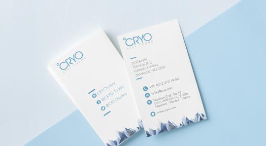 CRYO | Corporate Identity Design CRYO | Corporate Identity Design